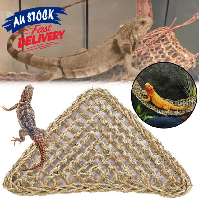 Reptile Hammock Basking Platform Dragon Lounger Bearded Hanging Swing Lizard