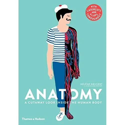 ANATOMY: A CUTAWAY Look Inside the Human Body by Druvert, Jean-Claude £