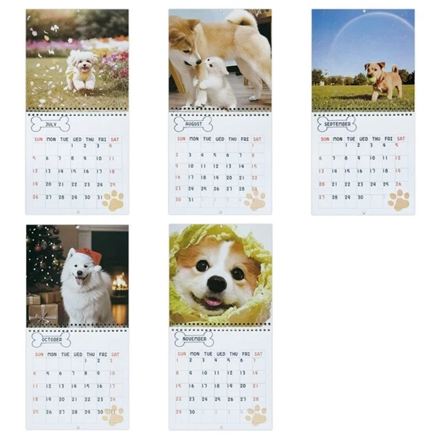 2026 CREATIVE ILLUSTRATION Calendar Art Paper Printing Wall Hanging ...