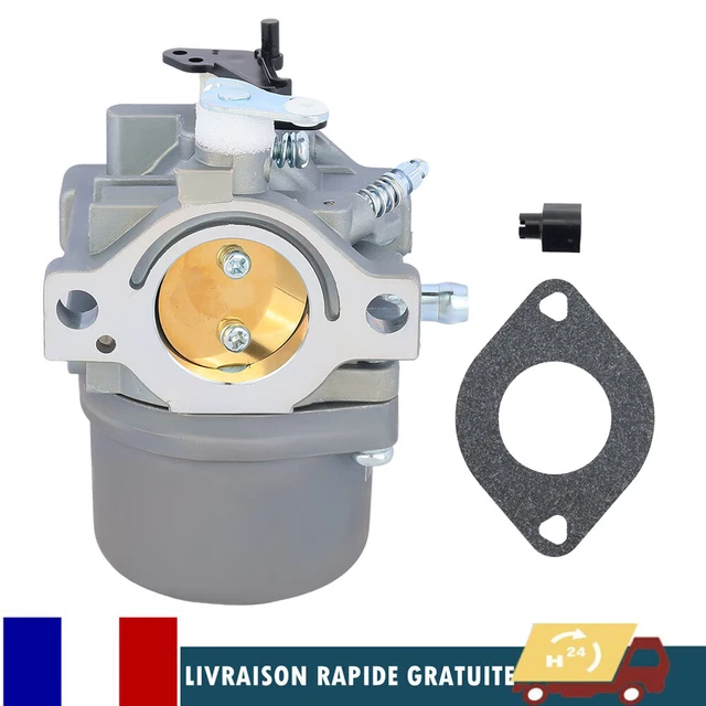 OxoxO Carburateur + Filtre + Accessoires Pour Briggs & Stratton 13.5hp Moteur Vertical – Compatible 590400 796078 591731 796109 594593 21B707
