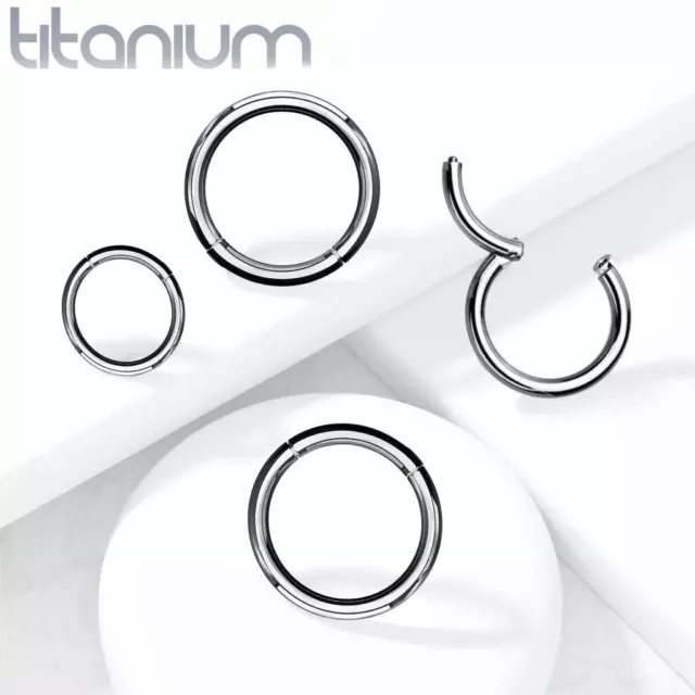 Implant Grade TITANIUM - Hinged Segment Ring Hoop Earring Lip 6mm 8mm 10mm 12mm