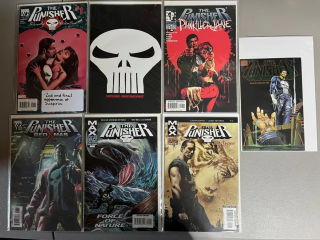 Punisher Comic Lot Of One Shots(Includes Punisher Kills The Marvel Universe)