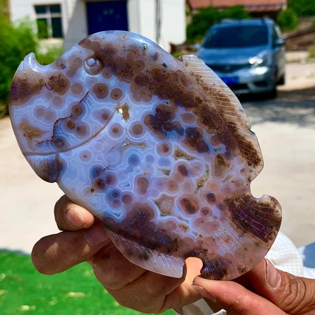 172G Amazing Natural Ocean Jasper Crystal Carved Fish Jasper Halo Stone