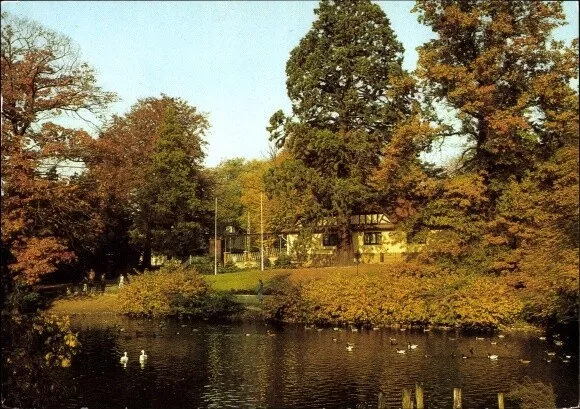 Ak Hansestadt Rostock, Aus dem Zoologischen Garten, Ententeich am... - 3862643