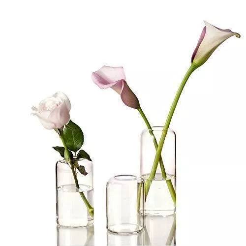 ZENS Bud Vases Glass Set, Clear Small Serene Spaces Living Vase Set of 3 for ...