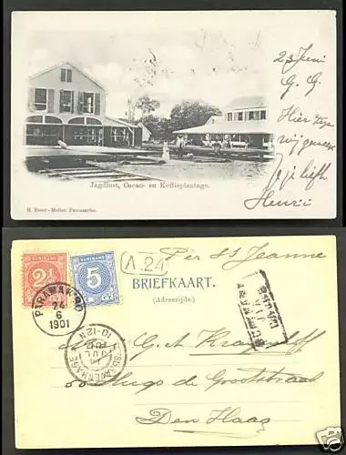 Jagdlust Cacao Coffee Plantation Suriname 2 stamps mixed franking 1901