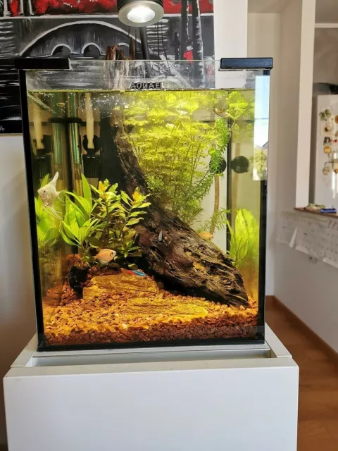 Acquario da 30 lt completo di accessori e mobiletto