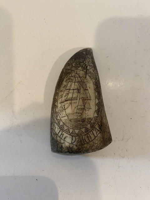Scrimshaw New Art Collectible Home Office.