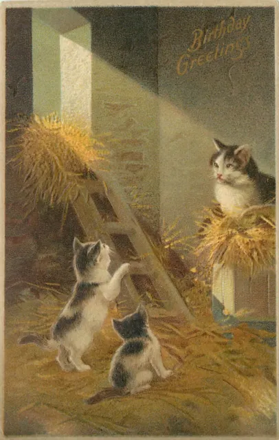 Embossed Postcard Birthday Greetings Cat and Kittens Play in Barn Hay 226