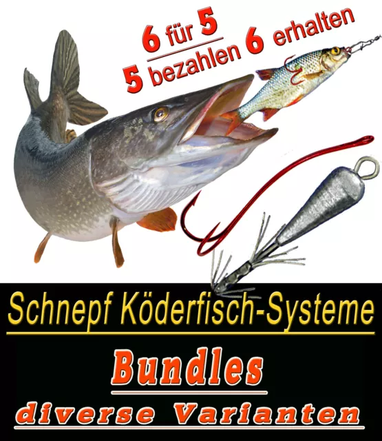 Köderfisch Systeme, BUNDLES div. Varianten,6für5 Zander Hecht Wels Raubfisch