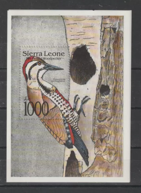 Sierra Leone 1994 Fauna Uccelli  1 Bf Mnh Mf121870