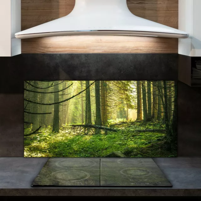 Spritzschutz Küchenrückwand Fliesenspiegel auf Deko Glas 120x60 Morgen im Wald