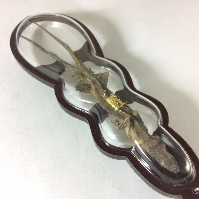 2 Tailed Lizard Gecko Reptile Wealth Amulet Pendant Lucky Money Fortune Gambling