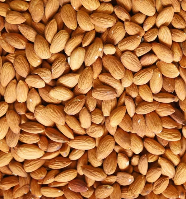 Almonds 1kg Nut Nuts Whole Almond Raw Natural BULK 500g 2kg 5kg Californian USA