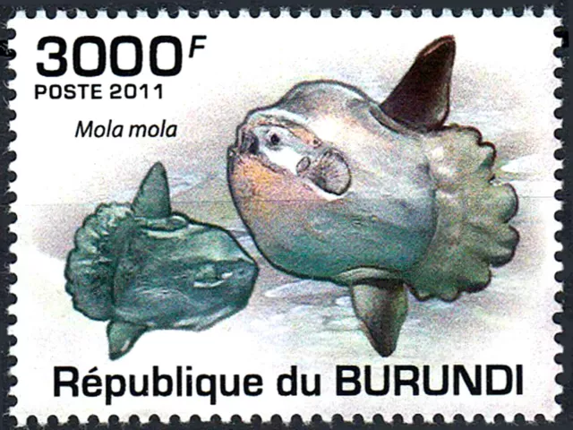 Burundi postfrisch MNH Mondfisch Fisch Knochenfisch Meerestier Tierwelt Natur/66