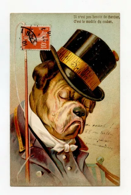 Illustratore Sans Signature. Cane Formale. il Bulldog. Il Cocher