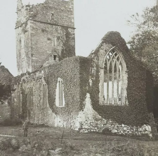 Killarney Lakes Ireland Muckross Abbey Castle Ruins Man Road 1901 Stereoview K94