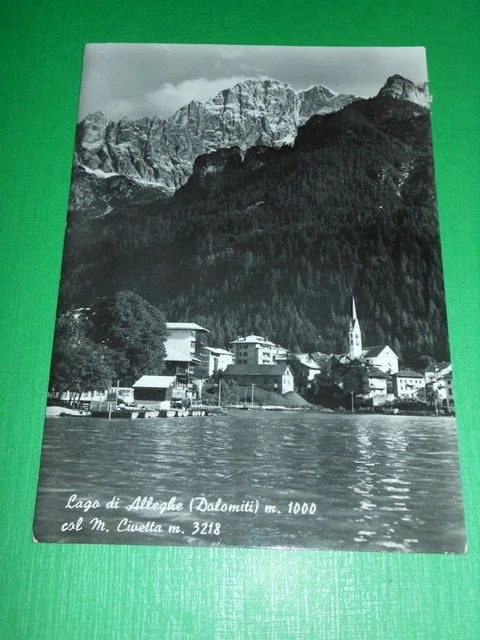 55632 -- CARTOLINA d'Epoca - LAGO MAGGIORE: Alpino | Europe - Italy