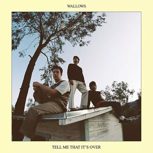 Wallows - Tell Me That It's Over [New Vinyl LP]