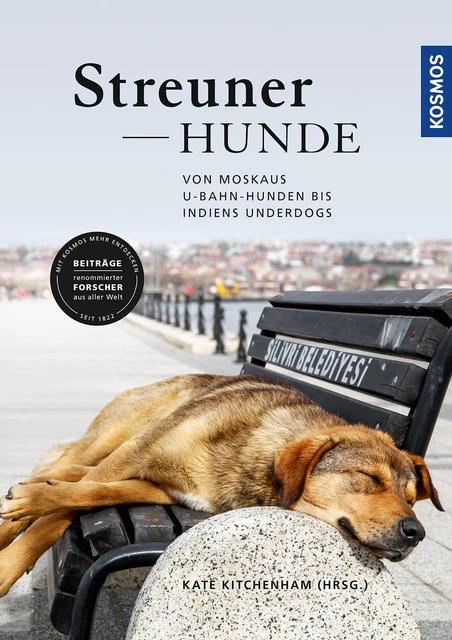 Streunerhunde Kate Kitchenham