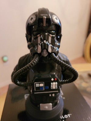 tie pilot bust