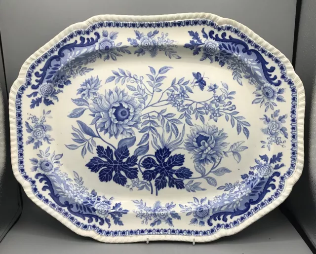 Antique Pottery SPODE  Pearlware  Blue transfer printed platter c1820 JASMINE