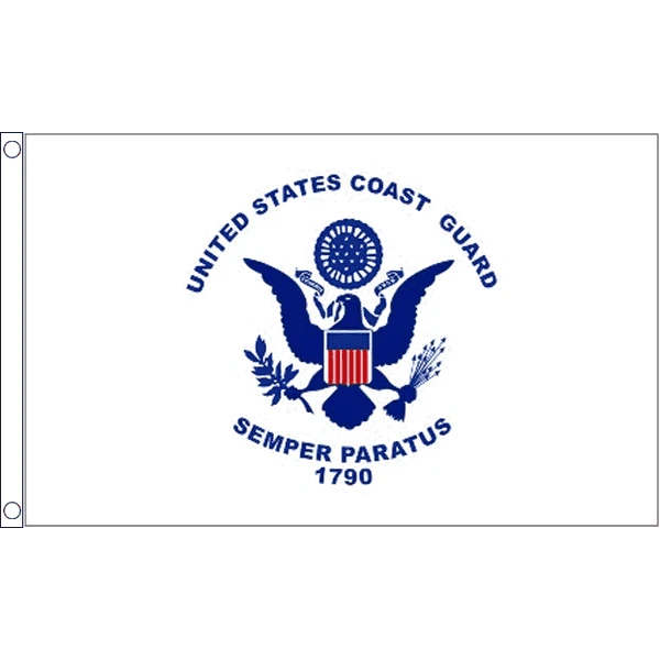 Il Ferro Della Toppa Dell'aeronautica Degli Stati Uniti Cuce Sul - Foto 7