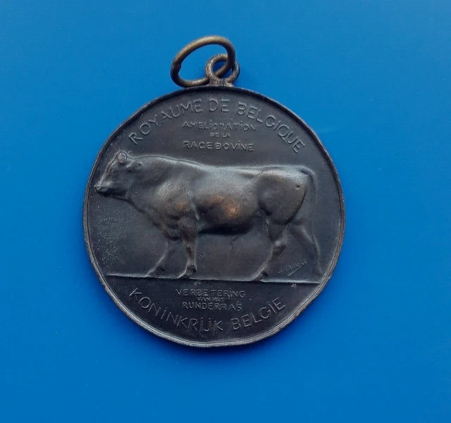 Médaille Commémorative Edward D. Putnam - Rochester Numismatic Association, 2 Pouces, Bronze