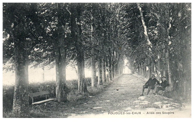 58 POUGUES LES EAUX - Allee des sighirs [REF/S009243]