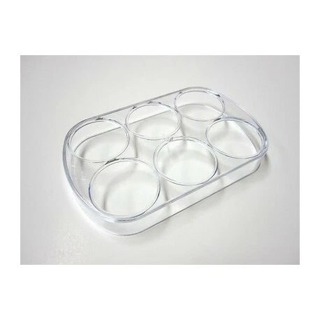 Cassetto Congelatore Centrale Originale Hotpoint - Altezza 240 Mm, Codice C00098538, Per Vari Frigoriferi