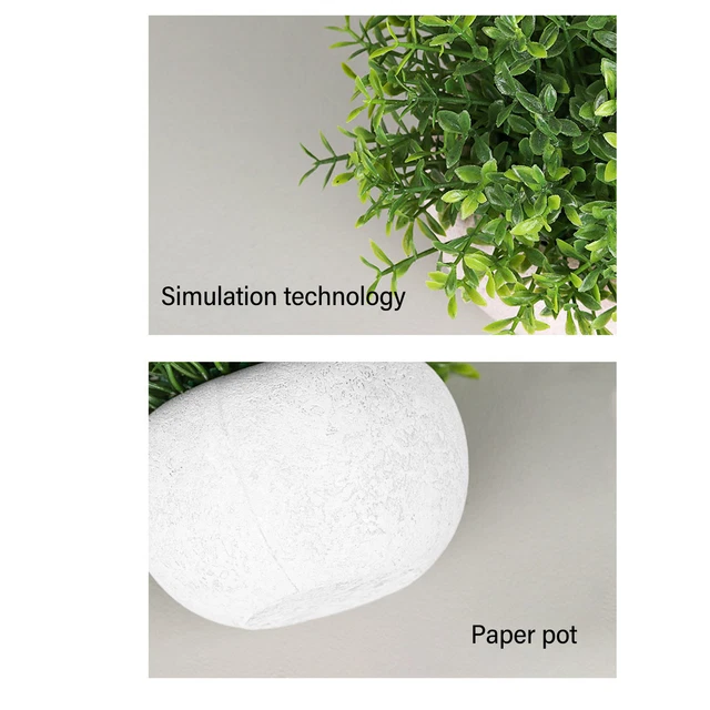 2 Pièces Plantes Grasses Artificielles En Pot Ciment - Fausses Plantes Déco Intérieur Pour Bureau, Salon, Chambre - 5
