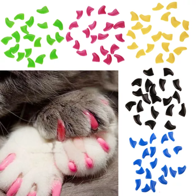 100 Pcs Animal De Compagnie Ensemble D'ongles Colle Plastique