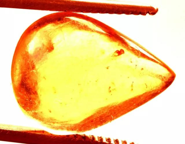 6.75 Cts. Natural Genuine Old Baltic Amber Untreated Certified Gemstone