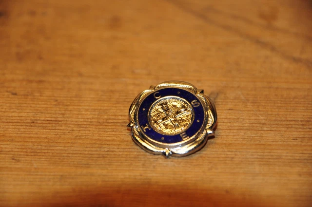 C.H.S.E. (CONFEDERATION HEALTH SERVICE EMPLOYEES) collectors badge (J03.04)