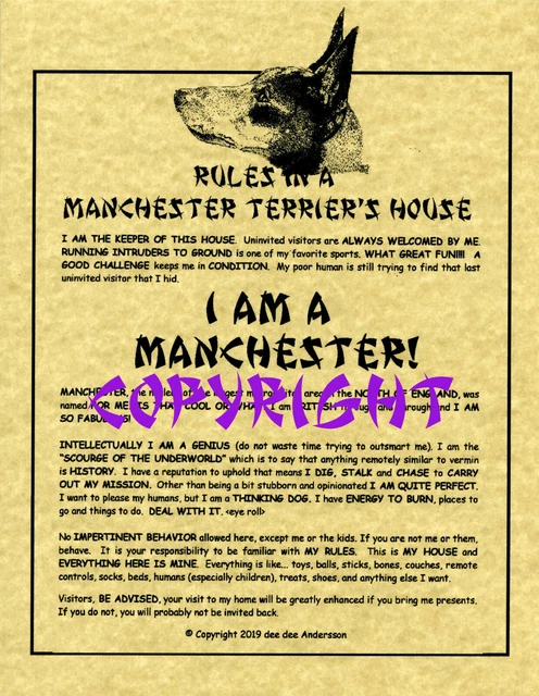 A Manchester Terrier Bit^h Lives Here