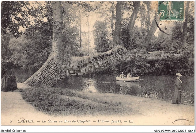 ABNP3-94-0250 - CRETEIL - la marne au bras du chapitre - l'arbre penché