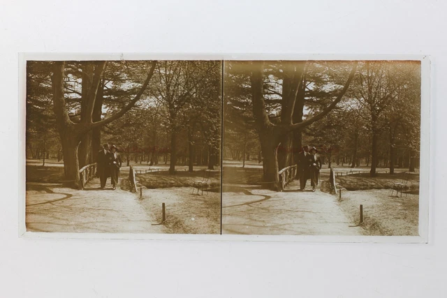 France Couple Promenade Bois Photo Stereo P50L2n15 Plaque de verre Vintage c1930