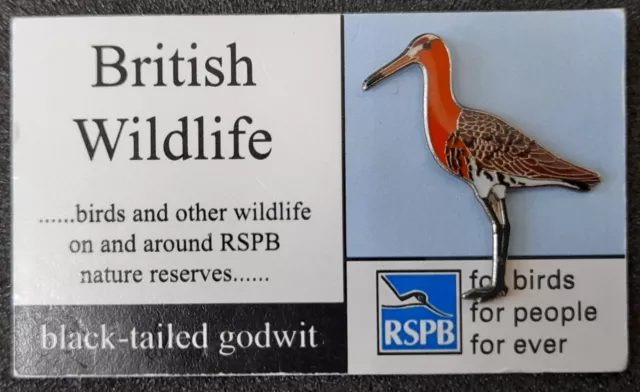 RSPB Pin Badge Black-tailed godwit on British Wildlife Card