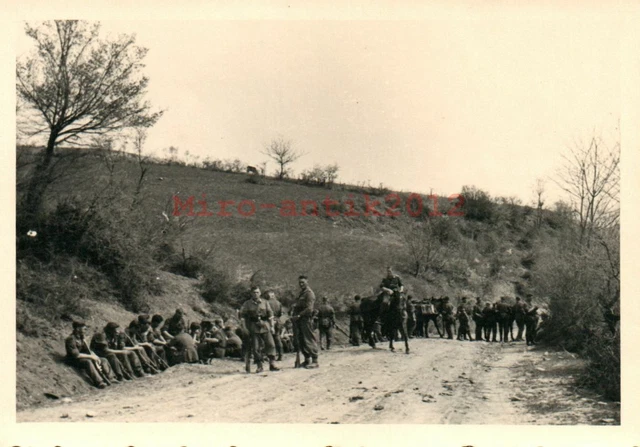 Foto, 2.WK, 2.Komp.Geb-Jg-Rgt.99: Vormarsch nach Novi Pazar 1943 (MB)21194
