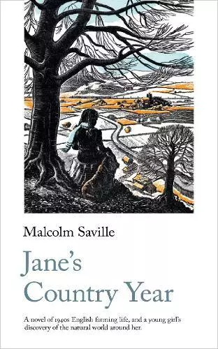 Jane's Pays An: The Elie Et Sarah Hirschfeld Collection (Portable Classics