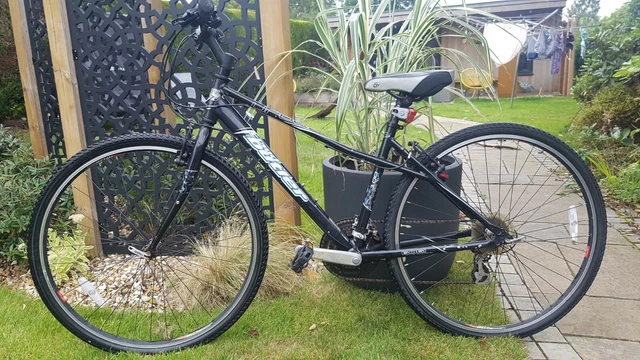 claud butler windsor ladies bike