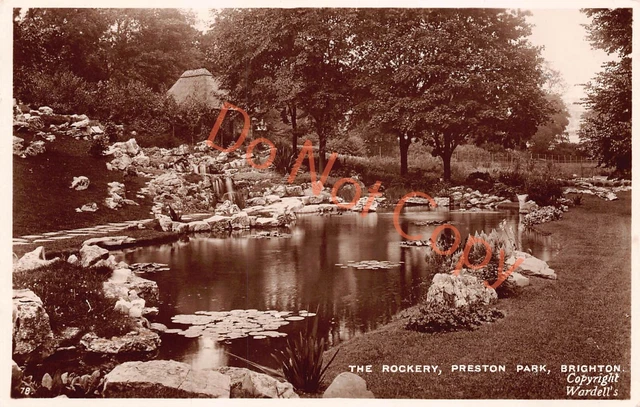 Brighton Sussex The Rockery Preston Park RP Postcard (D778)