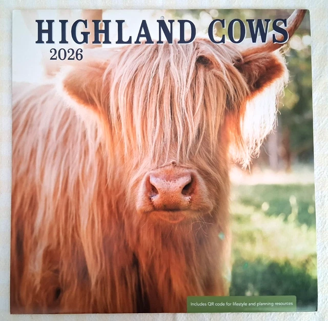 2026 HIGHLAND COWS Calendar Includes 2025 &amp; 2027 4-Month Calendars $13. ...