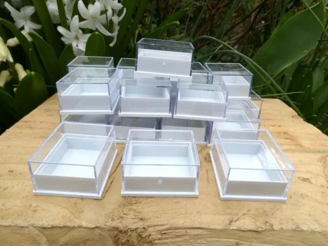 20 Small Perspex Clear Lid Crystal Fossil Display Boxes Black /White Bases/Pads