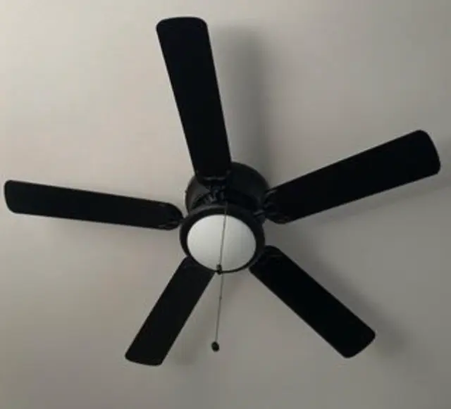 Ceiling Fan with Light Low Profile 52 inches Flush Mount Frosted Glass Black Dry