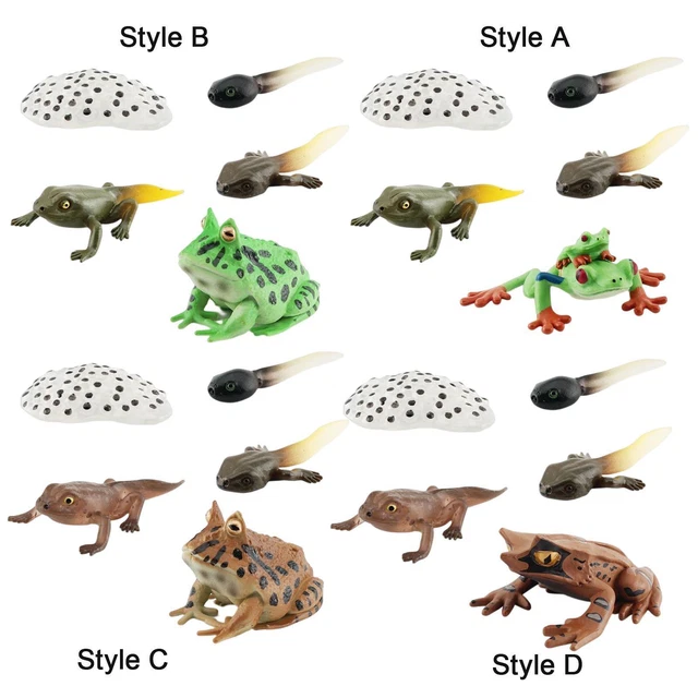 Set Montessori 24 Figurines Animaux Sauvages Et Marins + 24 Cartes éducatives Recto Verso - Jouet D'apprentissage Nom Habitat Et Faits Amusants - Dès 3 Ans - SpriteGru