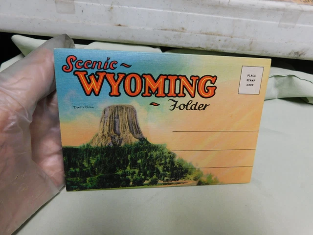 VTG Fold Out Views Post Card Type Scenic Wyoming Folder