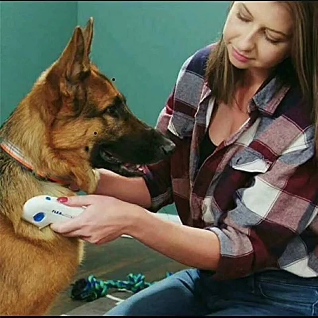 Electric Pet Flea Lice Cleaner Comb Dog Brush 10