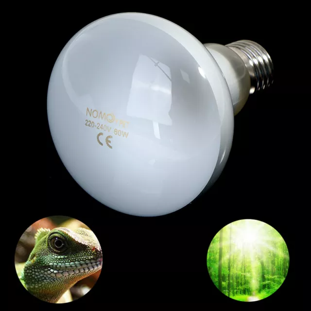 UVA + UVB Reptile Lampe Ampoule Tortue Cueillir UV Ampoules  Lampe Chauffante