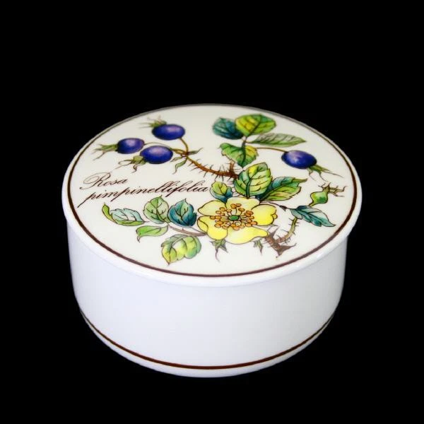 Scatola 7,5 cm rosa pimpinellifolia - MERCE NUOVA - botanica - Villeroy & Boch